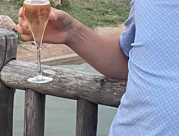 Profil de Armael, 46 ans, Escort Trans France à Caumont