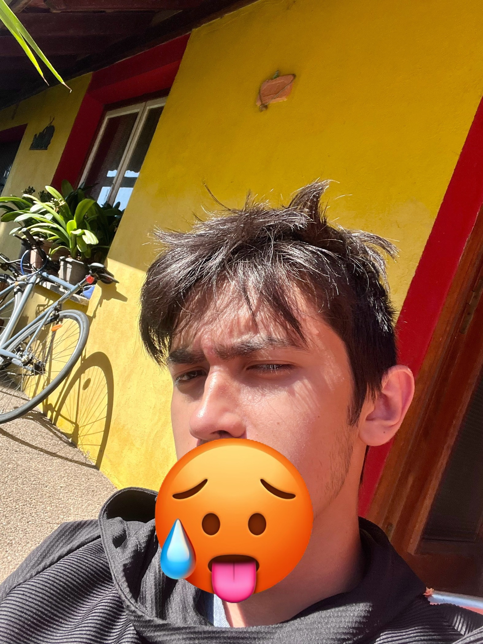 Profil de Iram, 23 ans, Escort Trans France à Lanleff