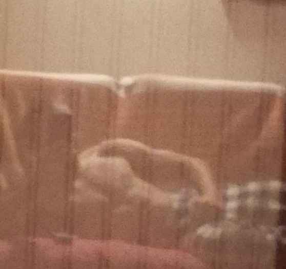 Profil de Delio, 20 ans, Escort Trans France à Thieux