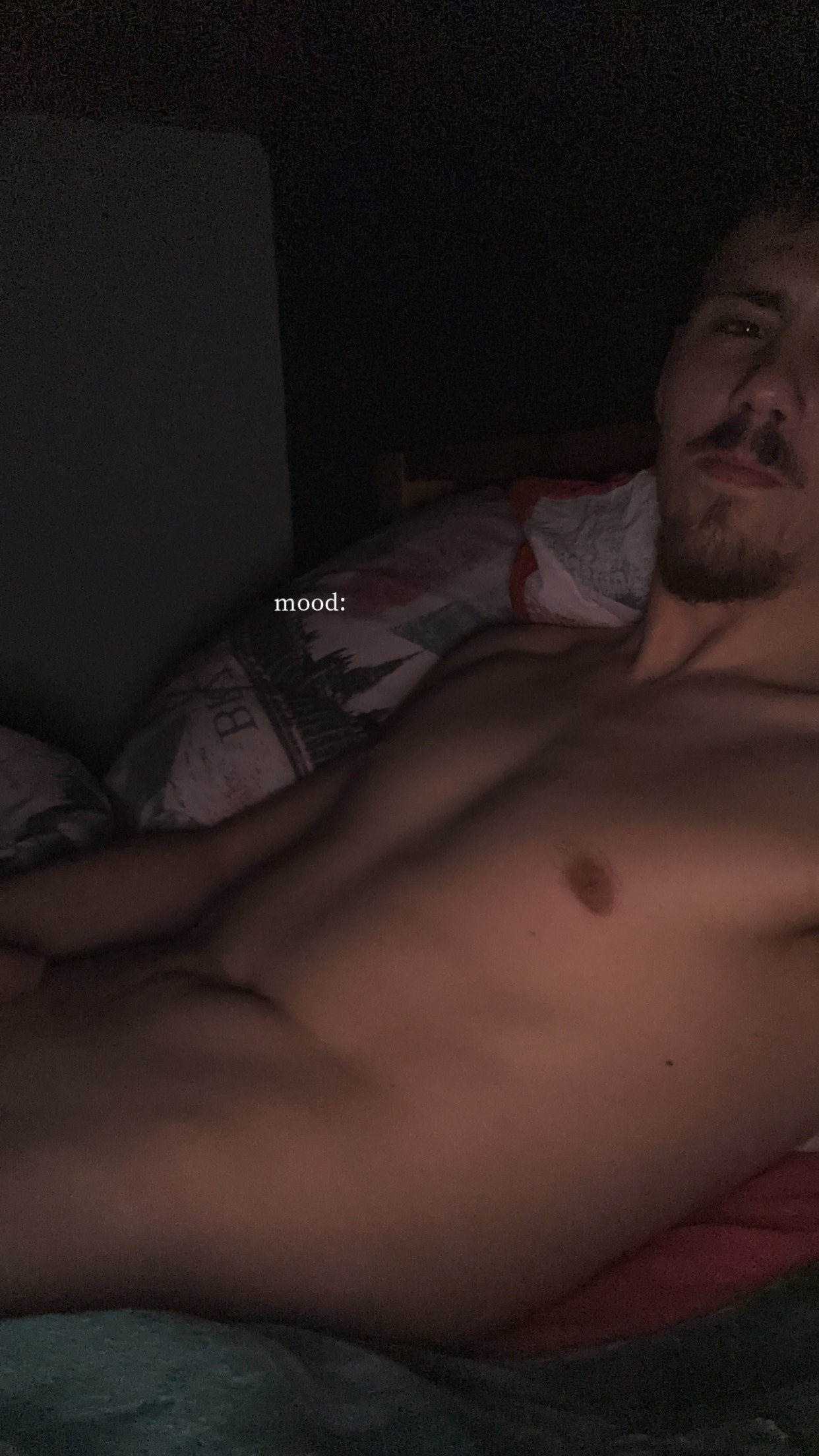 Profil de Chams-eddine, 22 ans, Escort Trans France à LaNoue