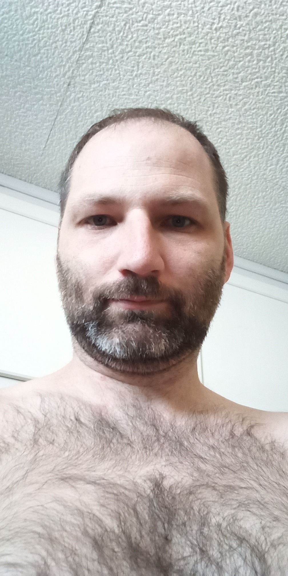 Profil de Shaheen, 37 ans, Escort Trans France à Budling